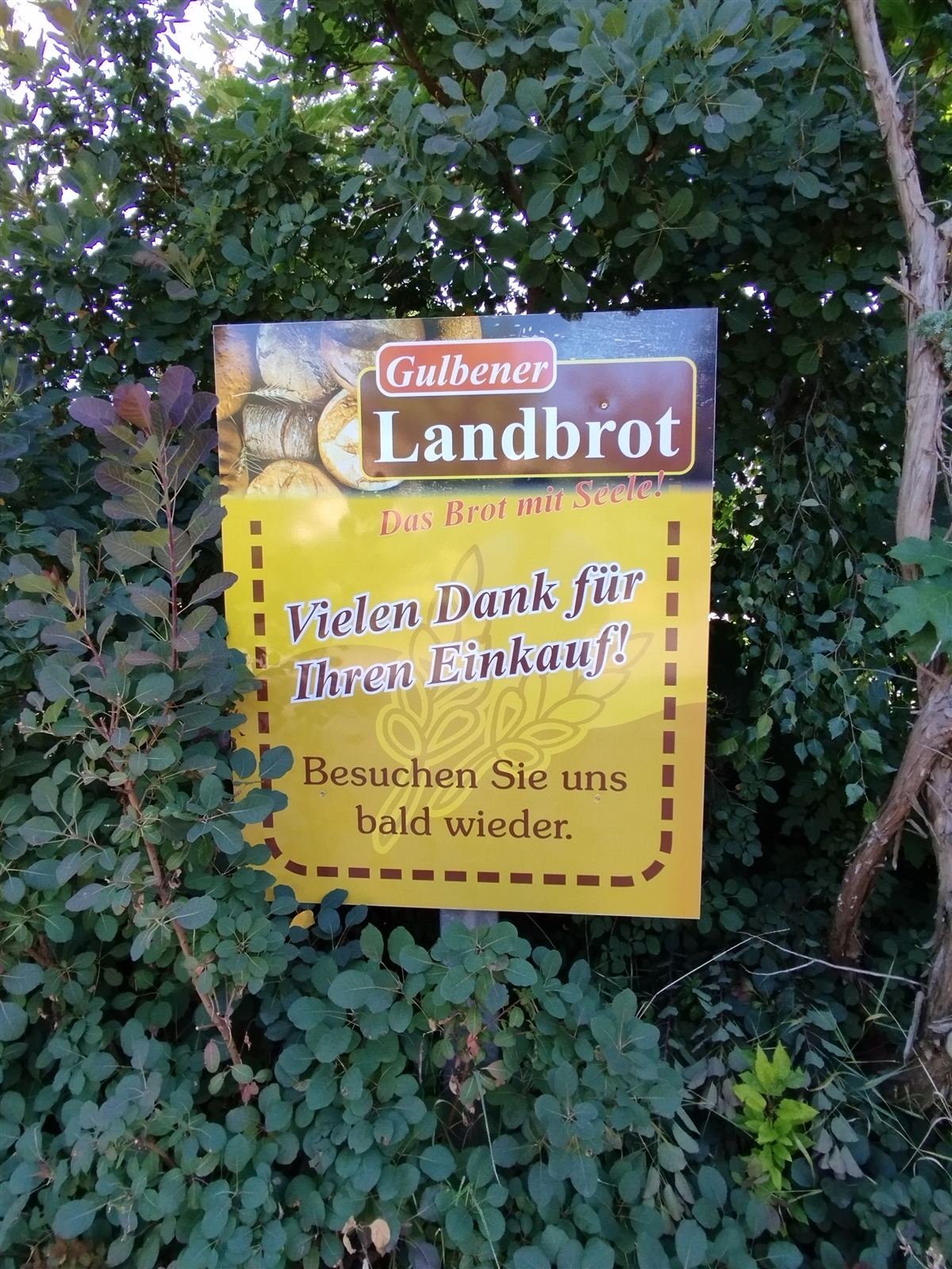 Landbäckerei Gulben (Fahrzeug) – Sprinter-Beschriftung